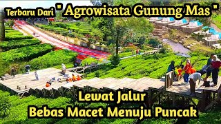 Agrowisata Gunung Mas Puncak Bogor | Lewat jalan Alternatif Bebas Macet Melewati Sevillage puncak