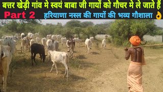 Part 2 इतनी अच्छी व्यवस्था किसी गौशाला मे नहीं मिलेगी Top beautiful Haryana Desi Cows भव्य गौशाला