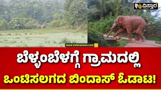 Elephant in Village | Chikkamagaluru | ಗ್ರಾಮಕ್ಕೆ ಬಂದ ಕಾಡಾನೆ ಕಂಡು ಬೆಚ್ಚಿದ ಗ್ರಾಮಸ್ಥರು | Vistara News