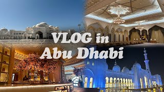 #아부다비 여행 정보!! 알려드려요🤗 l 닥터정의 #abudhabi #trip #vlog Ep.3