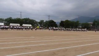 島第三中体育大会 ブロック対抗綱引き