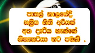 පාසල් කාලයේදී සක්‍රිය ගිනි අවියක් අත දැරිය හැක්කේ ශිෂ්‍යභටයා හට පමණි .