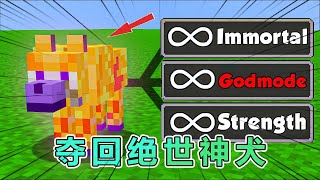 我的世界：雷吉与猎人之夺回绝世神犬 #我的世界 #minecraft