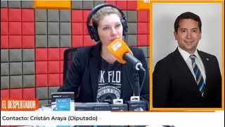 Diputado Cristián Araya en 