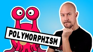 Nerdy Computer Science Words: POLYMORPHISM