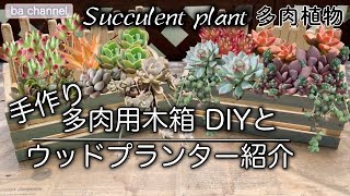 #111{多肉植物 Succulent} 多肉用のウッドプランター作り【DIY】これまで作った木箱の寄せ植えご紹介　100均の木箱を土台にオリジナルのウッドプランターを作ります