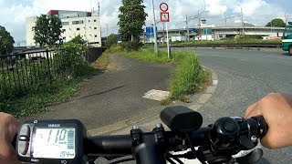 国道357 湾岸道路 谷津干潟→舞浜 サイクリング