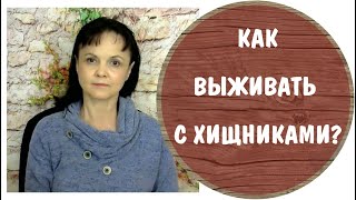 Как выживать с хищниками