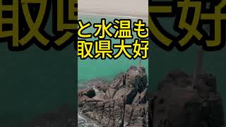 日本のHAWAI‼️ハワイ海水浴場じゃん‼️