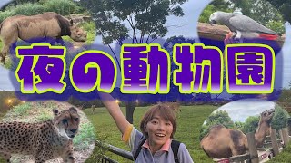 ズーラシアの「ナイトZOO」に行ってきた！