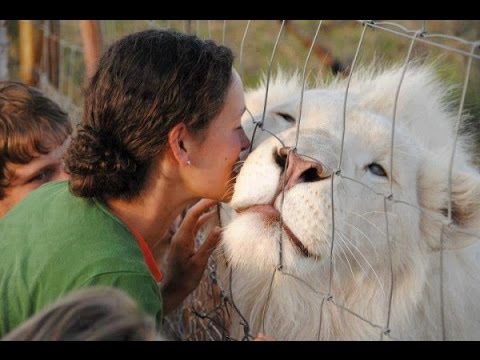 Top 10 Wild Animals You Can Own as pets Top 10 Wild Animals You Can Own as pets