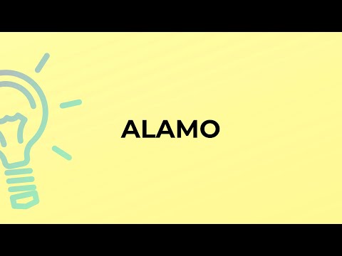 What does word Alamo mean?