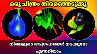 നിങ്ങളുടെ ആഗ്രഹങ്ങൾ സഫലമാവുമോ എന്ന് നോക്കാം💫💫