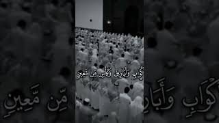 سابقو عباد الله على الطاعة ولاتنسو ان الموت حق وقريب منا جدا ...