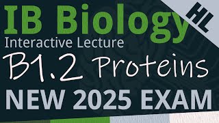 NEW 2025 EXAM - IB Biology B1.2 - Proteins [AHL] - Interactive Lecture