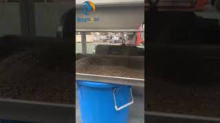 how to make leaf granules by crusher grass crushing machine tea crusher machine tea bag machine