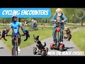 Cycle Lane Encounters With A Twist- Dogs Scooters & OAPs