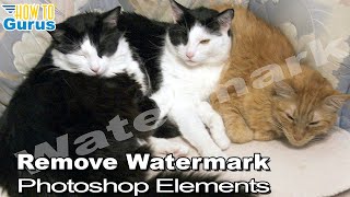 How You Can Use Adobe Photoshop Elements to Remove a Watermark from a Photo