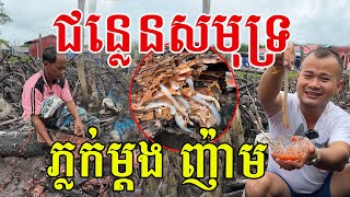 ភ្លក់ម្ដងញ៉ាម គ្រឿងសមុទ្រពិសេស មានរសជាតិឆ្ងាញ់