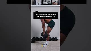 Train and Strengthen LOWER BACK with DUMBBELLS!