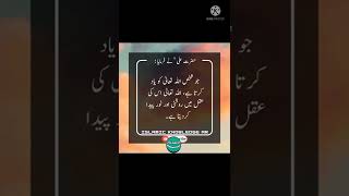 Aqwal-e-Hazrat Ali (R.A) - 105 ||  Beautiful quotes  ||  Islamic Knowledge AR