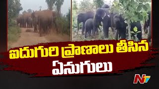 Kadapa: భక్త బృందంపై ఏనుగుల దాడి.. ఐదుగురు మృ*తి | Ntv