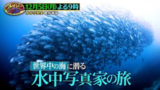 『クレイジージャーニー』12/5(月) 世界中の海に潜る水中写真家の旅!!【TBS】