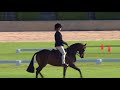 2017 mitavite equestrian sa horse of the year livestream day 1