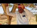 ગામડીયા ના ડ્રગ્સ માફિયા gujarati comedy video raja sadhi official