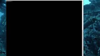 Shell Variables