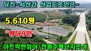 [당진토지][당진토지매매](매물번호:210621)당진토지/당진임야/당진전원주택부지/당진전원주택/당진농가주택/당진부동산//땅넓고 저렴한 야트막한 임야 금매물~