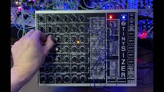 Anyware Instruments Tinysizer patch