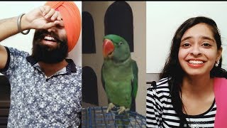 Indian Reaction on Parrot Saying Allah Hu Akbar & Waheguru | PunjabiReel TV
