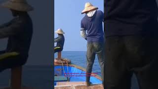 വലിയ കാളാഞ്ചി മീൻ പിടിക്കൽ Kaalanji Seabass/Barramundi fish rare catching from boat super video