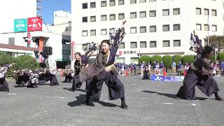 北海道医療大学~桜雅~　24年安濃津よさこい2日目津駅前会場