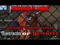 Fantasy Match - Jon Jones vs Brock Lesnar (Knockout Mode)(UFC 4)(Legendary)