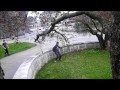 parkour solothurn training