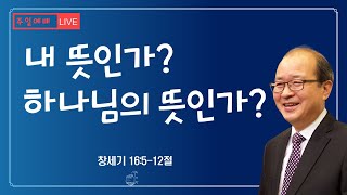 [LIVE] 주사랑교회 7월 24일 주일예배ㅣ제목 : 하나님의 뜻인가 내 뜻인가ㅣ본문 : 창세기 16:5-12절 ㅣ찬양 : 나의 예수님 외 3곡ㅣ#안산주사랑교회#주사랑교회