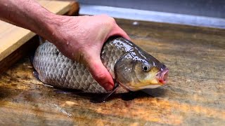 コイ料理屋の常連が衝撃をうけた寒フナあらい 日本 職人技 Japanese carp sashimi shop