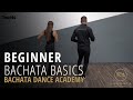 Bachata Beginner Basic Steps Tutorial - Demetrio & Nicole - Bachata Dance Academy