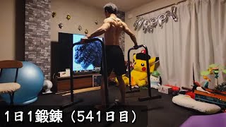 1日1鍛錬（541日目）体幹トレーニング、半棒エクササイズ、ディップス\u0026インバーテッドロウ、フロントレバー練習、背中鍛え、首里手三戦、開脚ストレッチ 2024/01/02