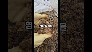 고단백질 어분: 퇴비와 유박을 초과하는 효율성