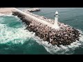 droneshot gangneung sacheon beach surfing 강릉 사천해변 서핑 드론샷