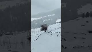 Heavy snowfall Uttarakhand | Nature Video - 25