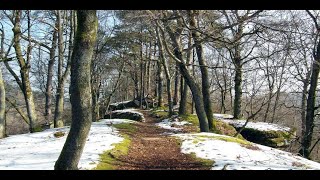 Wetter heute: Die aktuelle Vorhersage (12.03.2023)