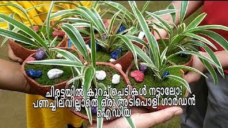 How to set plants in a coconut shell/ചിരട്ടയിൽ ചെടി നടാം