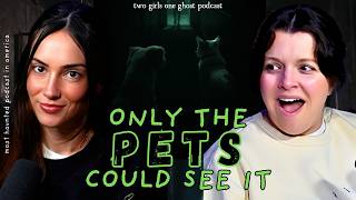 True Ghost Stories | Psychic Pets, Haunted Horses & Near Death Encounters (x332)