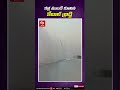 కళ్ల ముందే కూలిన కేబుల్ బ్రిడ్జి cable bridge collapsed in bihar bihar bridge