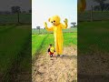 vidhi teddy crying on balloon 🎈 ayush u0026 garv ll shorts trendingshorts funnyshorts teddy cute