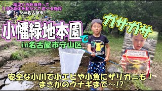 ガサガサ（幼児とお弁当持って一日中身体を動かして遊べる施設特別編）で小幡緑地本園へ♪　in名古屋市守山区